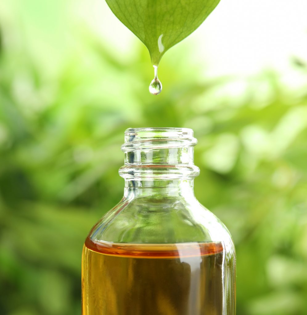 Ceylon Cinnamon Leaf Essential Oil Cinnamomum Zeylanicum Orthodox