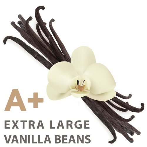 Organic Extra Large Vanilla Beans (Grade A1 Gourmet) 8″ Inches